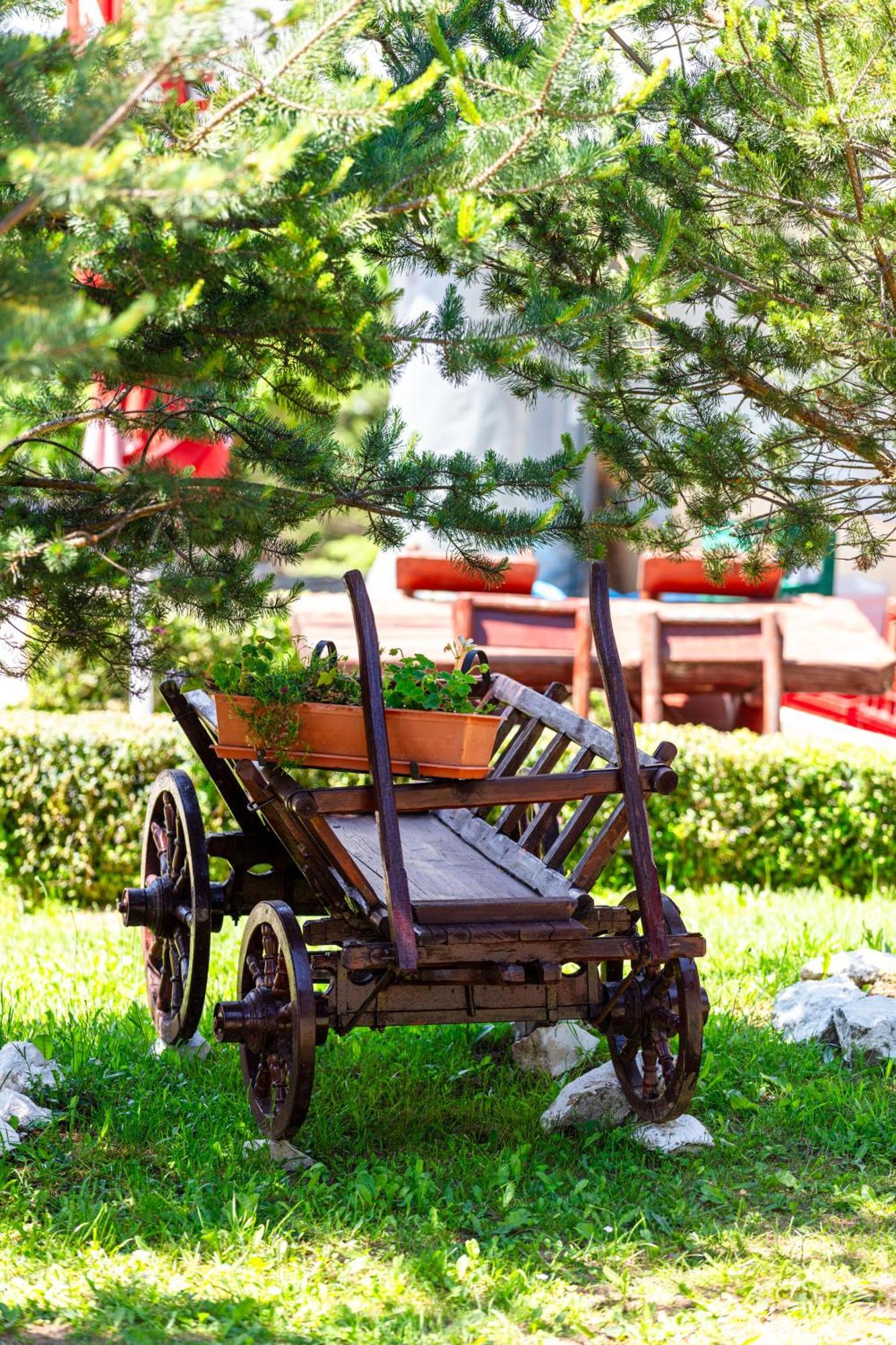 Resort Europark Fundata Εξωτερικό φωτογραφία